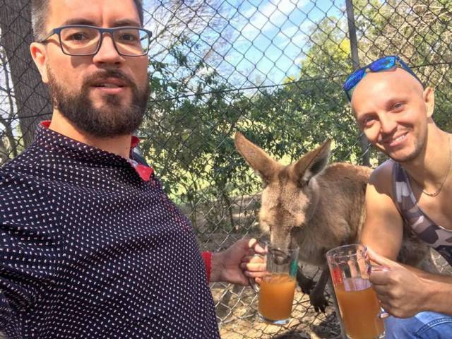 daily picdump 102 pics 3.html - 102 HD Photos | Premium Gallery 2017