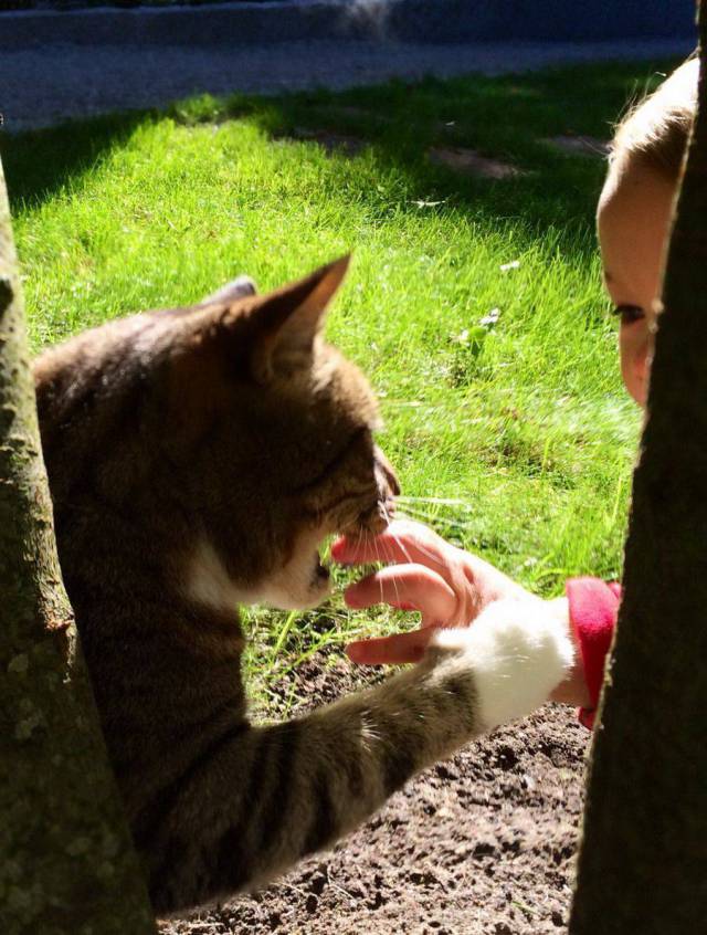 daily picdump 102 pics 3.html - 102 HD Photos | Premium Gallery 2017