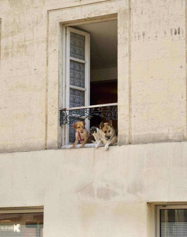 daily picdump 102 pics 3.html - 102 HD Photos | Premium Gallery 2017