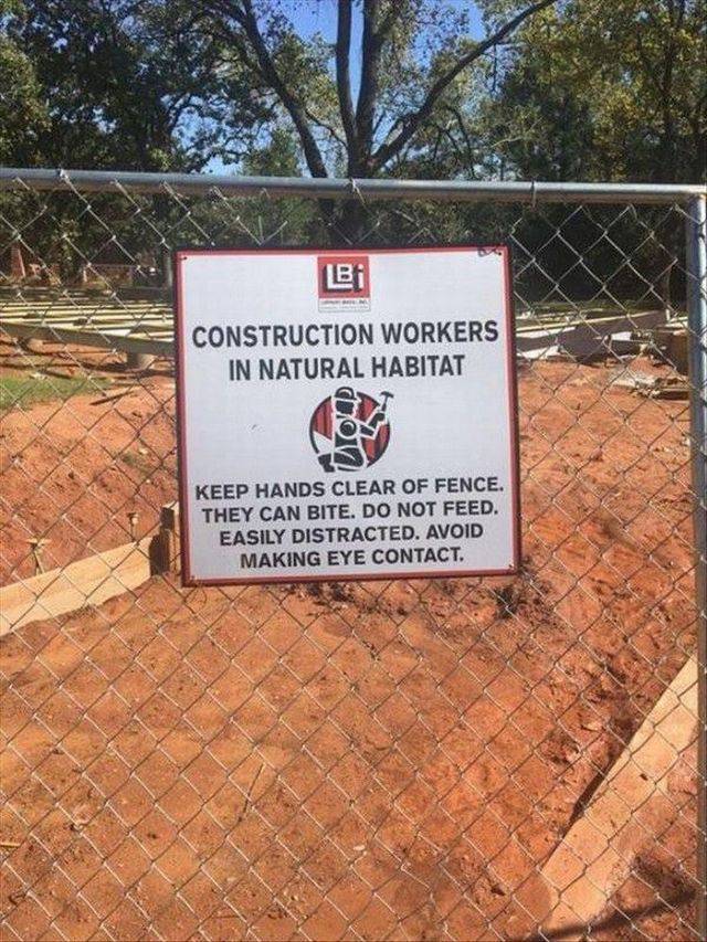 daily picdump 102 pics 3.html - 102 HD Photos | Premium Gallery 2017