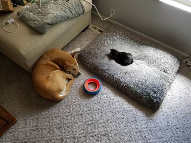 daily picdump 104 pics 42.html - 104 HD Photos | Premium Gallery 2017