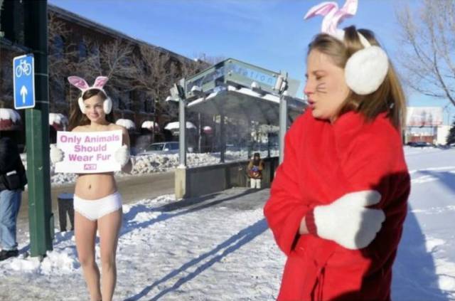 daily picdump 104 pics 42.html - 104 HD Photos | Premium Gallery 2017