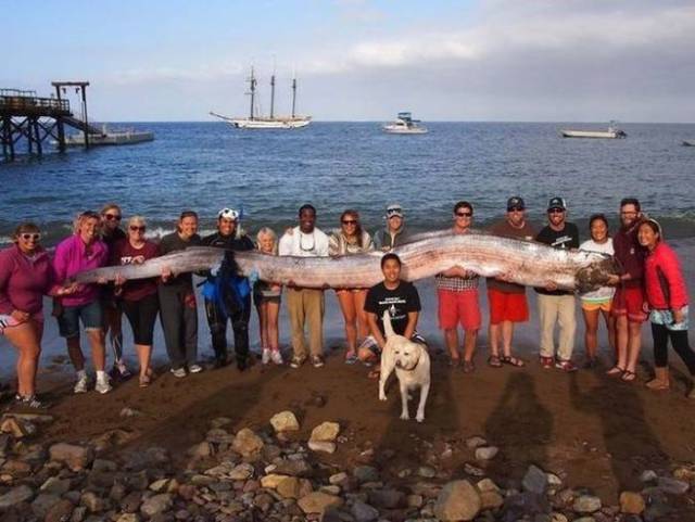 daily picdump 104 pics 42.html - 104 HD Photos | Premium Gallery 2017