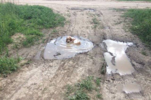 daily picdump 104 pics 42.html - 104 HD Photos | Premium Gallery 2017