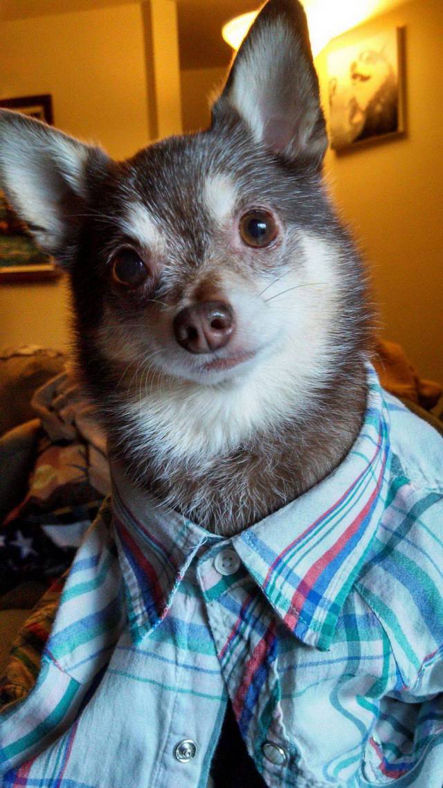 daily picdump 104 pics 42.html - 104 HD Photos | Premium Gallery 2017