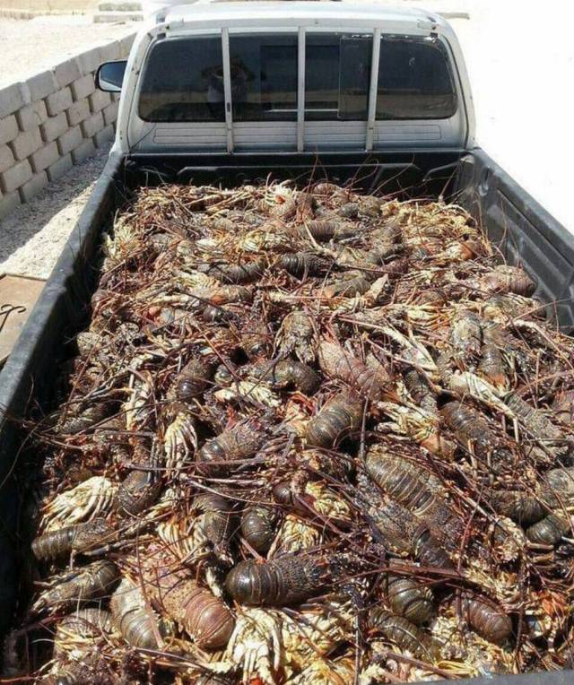 daily picdump 104 pics 42.html - 104 HD Photos | Premium Gallery 2017