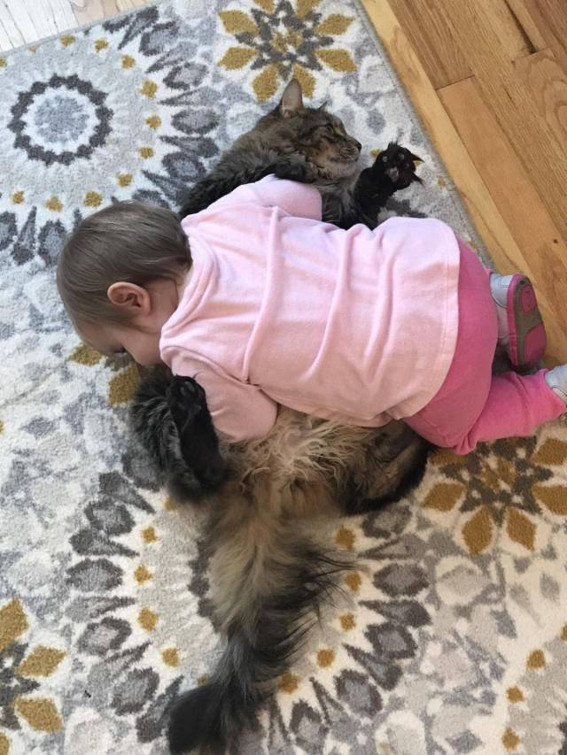 daily picdump 104 pics 42.html - 104 HD Photos | Premium Gallery 2017