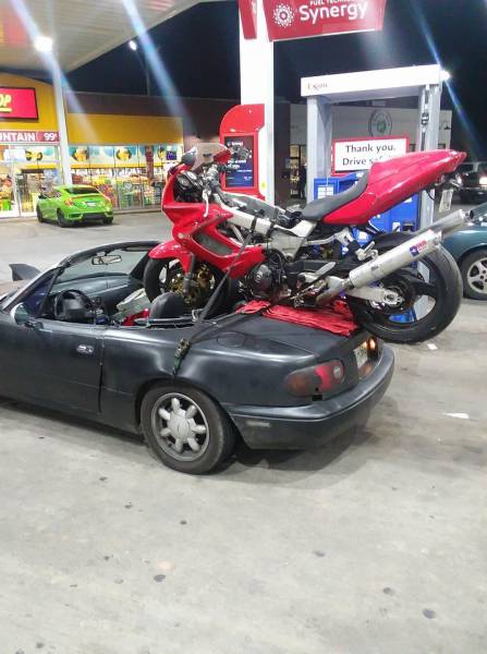 morning picdump 50 pics 1.html - 50 HD Photos | Premium Gallery 2017