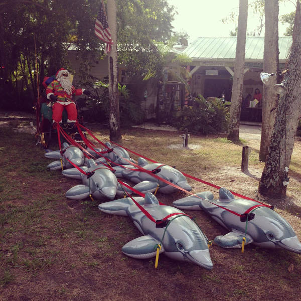 morning picdump 50 pics 1.html - 50 HD Photos | Premium Gallery 2017