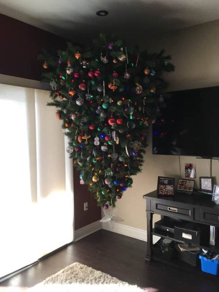 morning picdump 50 pics 1.html - 50 HD Photos | Premium Gallery 2017