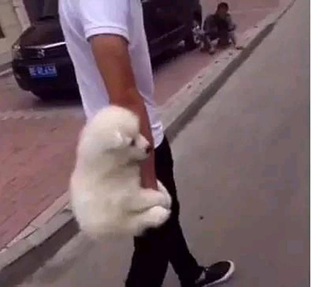 morning picdump 50 pics 1.html - 50 HD Photos | Premium Gallery 2017