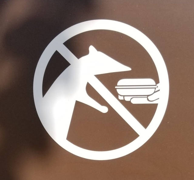 morning picdump 50 pics 1.html - 50 HD Photos | Premium Gallery 2017