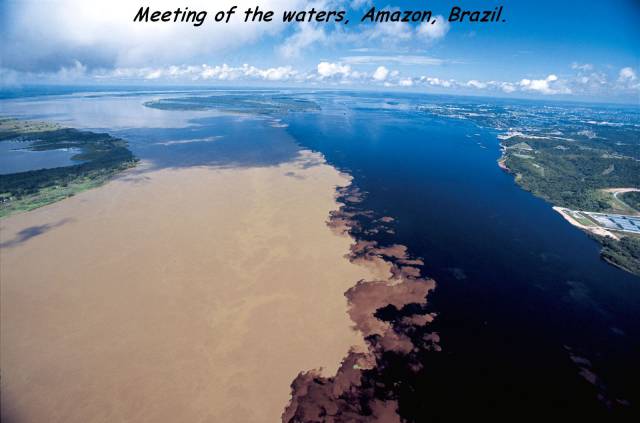 daily picdump 97 pics 35.html - 97 HD Photos | Premium Gallery 2017