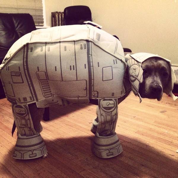 daily picdump 97 pics 35.html - 97 HD Photos | Premium Gallery 2017