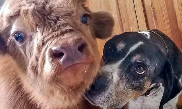 daily picdump 97 pics 35.html - 97 HD Photos | Premium Gallery 2017