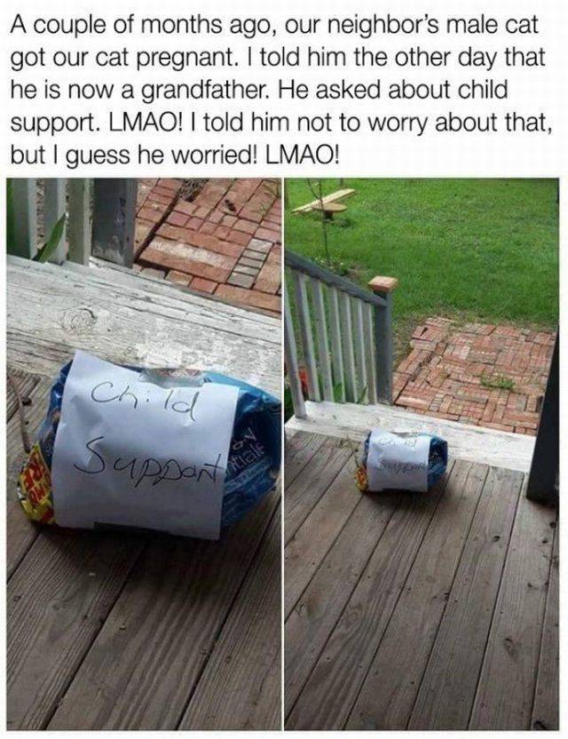 daily picdump 97 pics 35.html - 97 HD Photos | Premium Gallery 2017