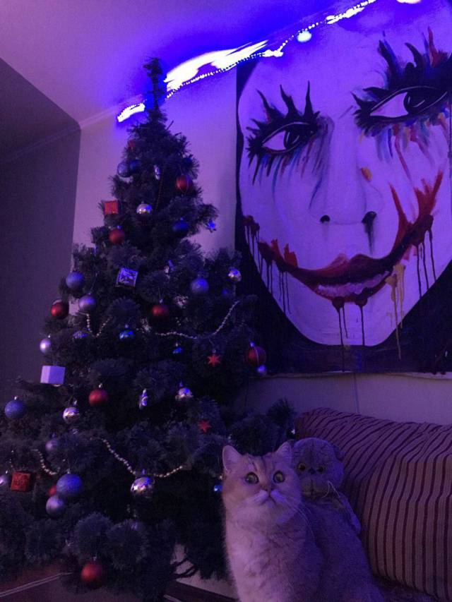 daily picdump 97 pics 35.html - 97 HD Photos | Premium Gallery 2017