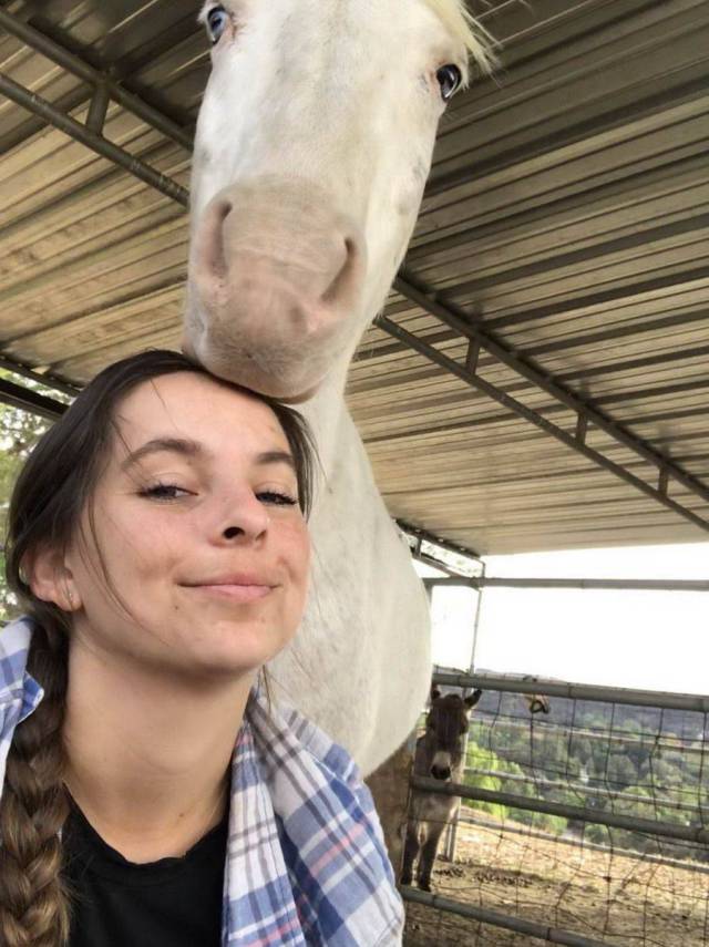 daily picdump 97 pics 35.html - 97 HD Photos | Premium Gallery 2017