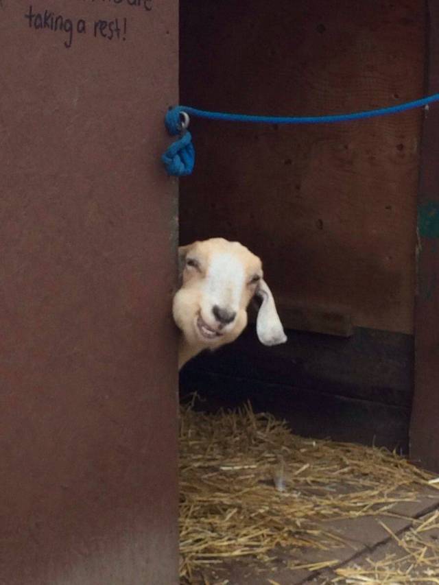 daily picdump 97 pics 35.html - 97 HD Photos | Premium Gallery 2017