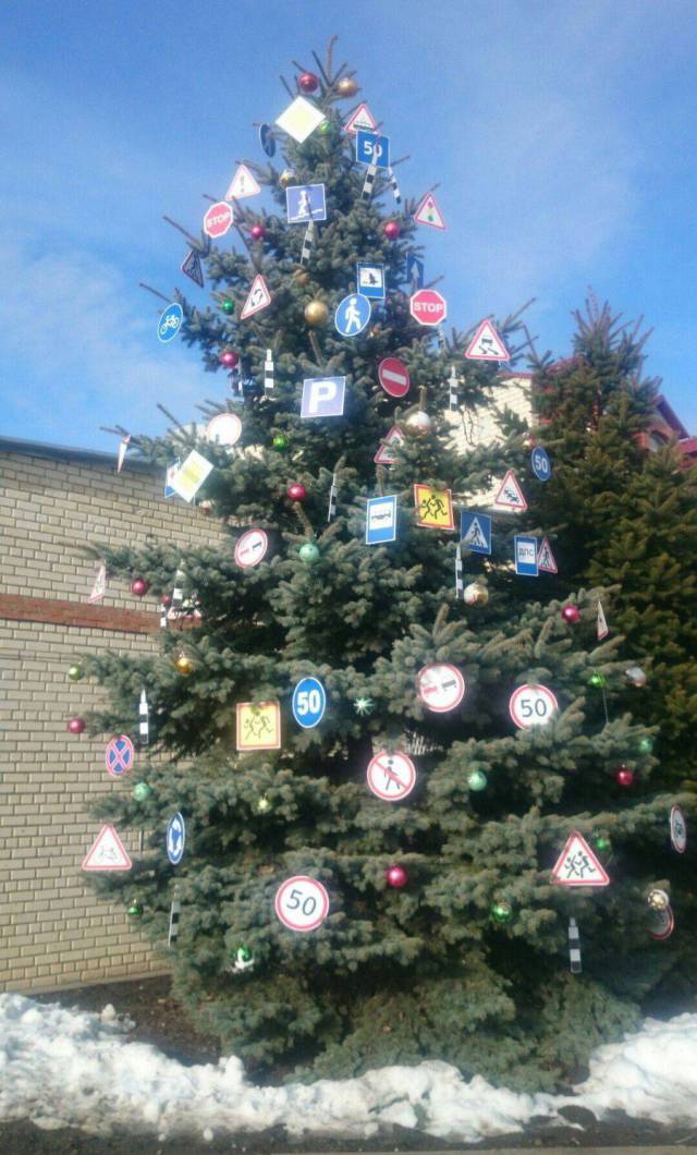 daily picdump 97 pics 35.html - 97 HD Photos | Premium Gallery 2017