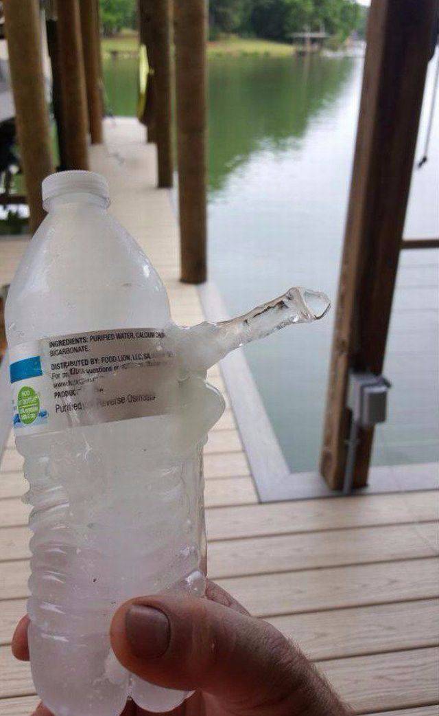 daily picdump 97 pics 35.html - 97 HD Photos | Premium Gallery 2017