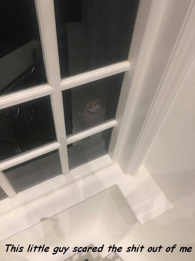 daily picdump 97 pics 35.html - 97 HD Photos | Premium Gallery 2017