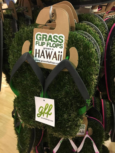 morning picdump 50 pics 1.html - 50 HD Photos | Premium Gallery 2017