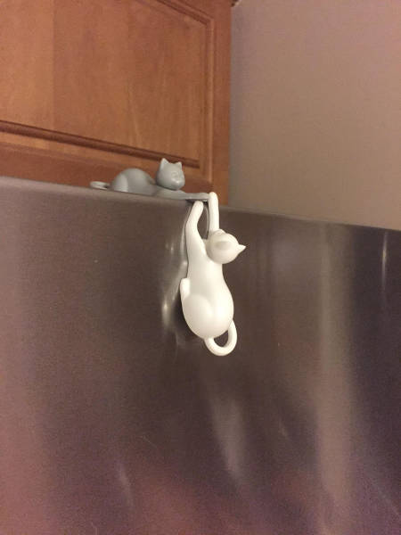 morning picdump 50 pics 1.html - 50 HD Photos | Premium Gallery 2017