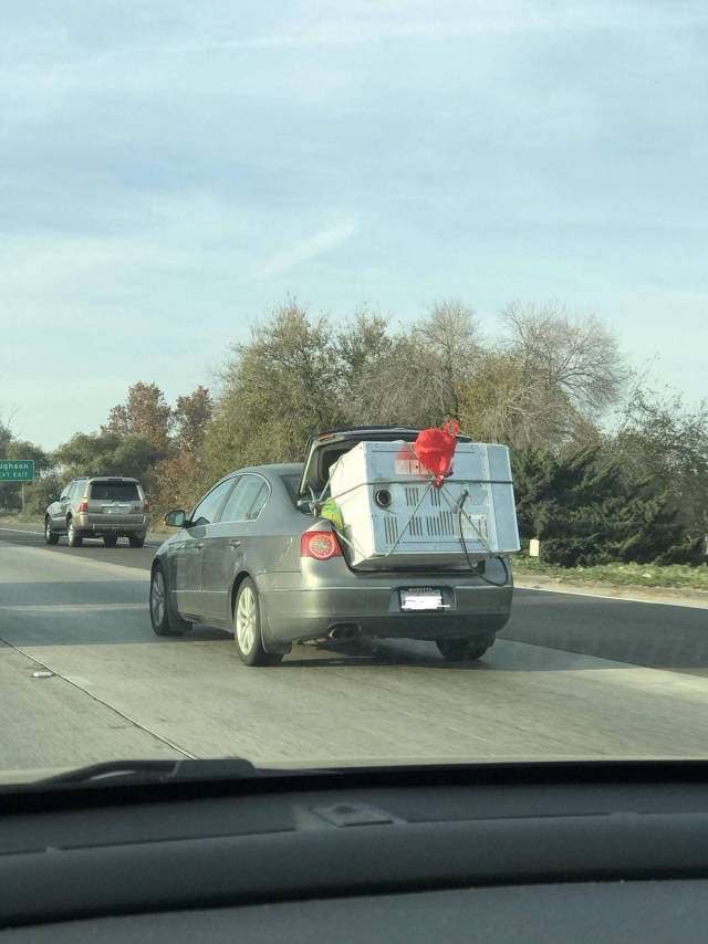 morning picdump 50 pics 1.html - 50 HD Photos | Premium Gallery 2017