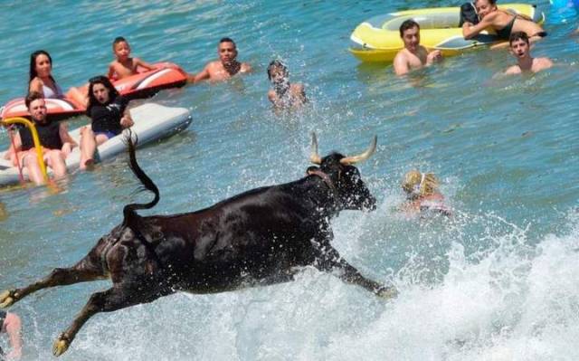 daily picdump 95 pics 45.html - 95 HD Photos | Premium Gallery 2017