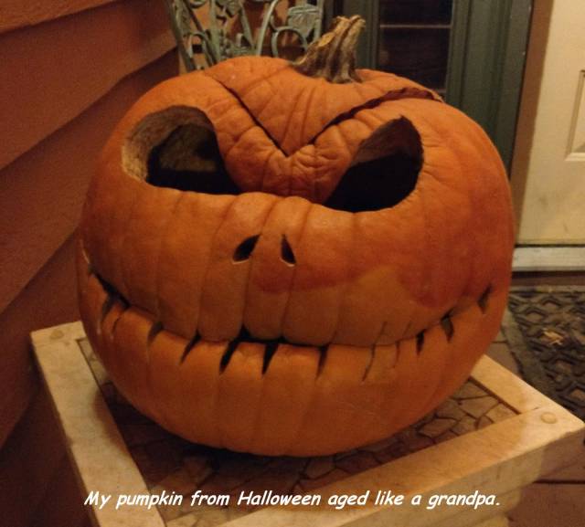 daily picdump 95 pics 45.html - 95 HD Photos | Premium Gallery 2017