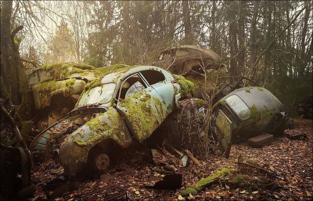 daily picdump 95 pics 45.html - 95 HD Photos | Premium Gallery 2017