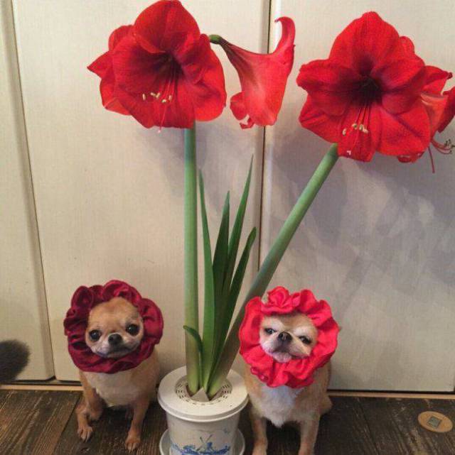 daily picdump 95 pics 45.html - 95 HD Photos | Premium Gallery 2017