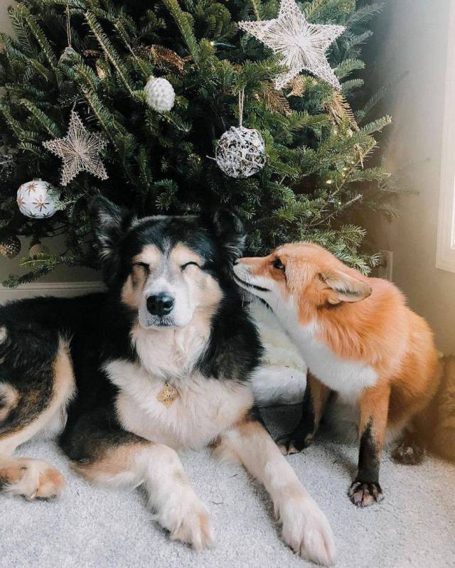 daily picdump 95 pics 45.html - 95 HD Photos | Premium Gallery 2017