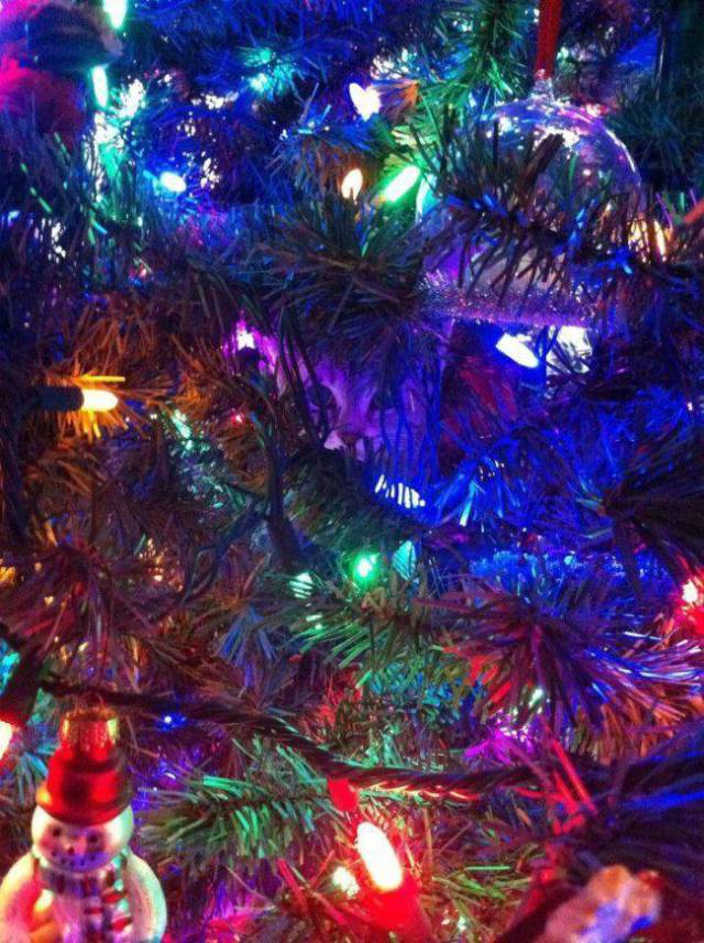 daily picdump 95 pics 45.html - 95 HD Photos | Premium Gallery 2017