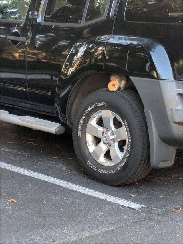 daily picdump 95 pics 45.html - 95 HD Photos | Premium Gallery 2017