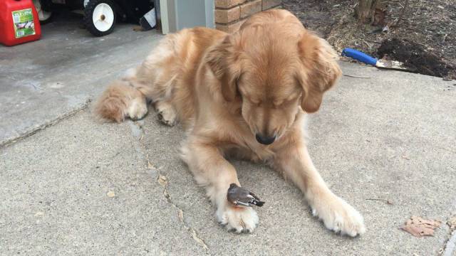 daily picdump weekend edition 60 pics 2.html - 60 HD Photos | Premium Gallery 2017