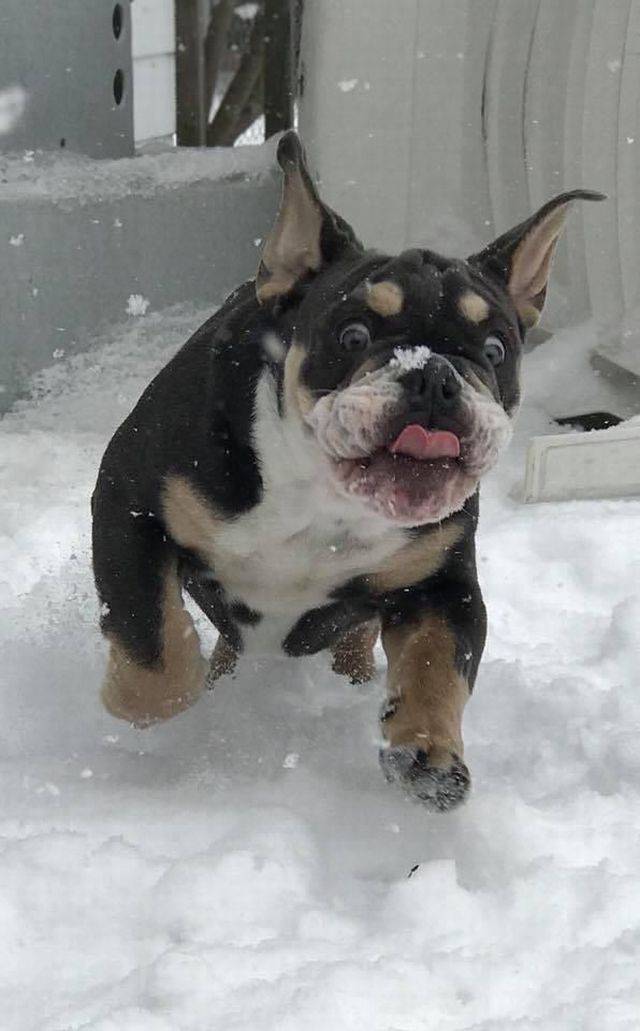 Daily Picdump [WEEKEND EDITION]