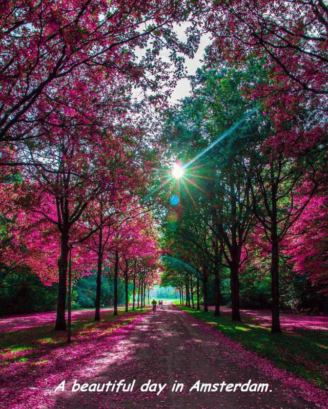 daily picdump weekend edition 60 pics 2.html - 60 HD Photos | Premium Gallery 2017