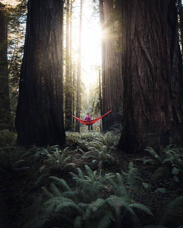 daily picdump weekend edition 60 pics 2.html - 60 HD Photos | Premium Gallery 2017