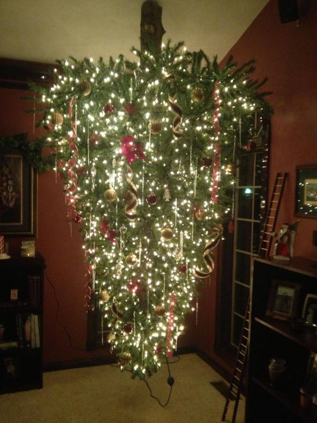 daily picdump weekend edition 60 pics 2.html - 60 HD Photos | Premium Gallery 2017