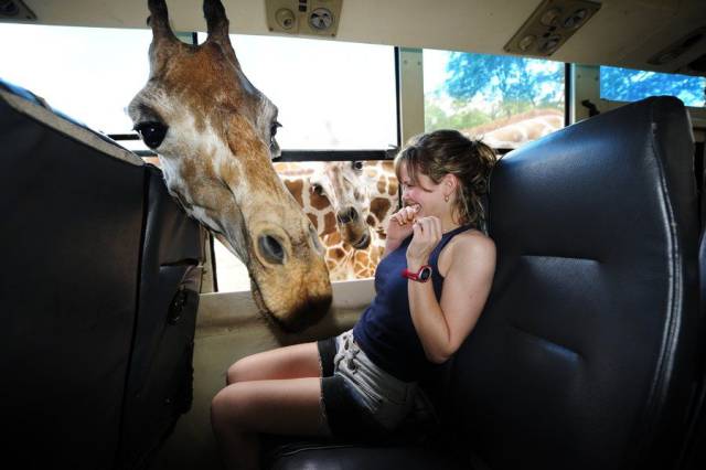 daily picdump 96 pics 45.html - 96 HD Photos | Premium Gallery 2017