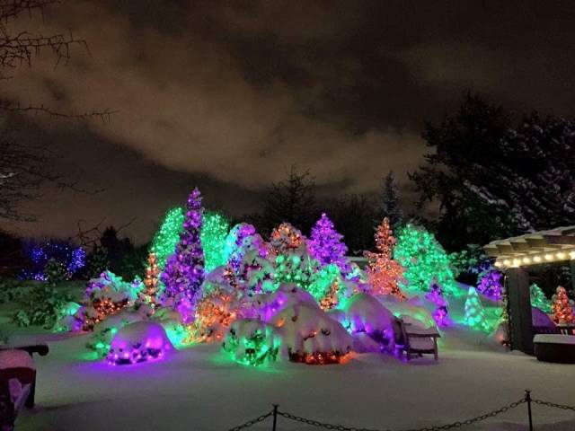 daily picdump 96 pics 45.html - 96 HD Photos | Premium Gallery 2017