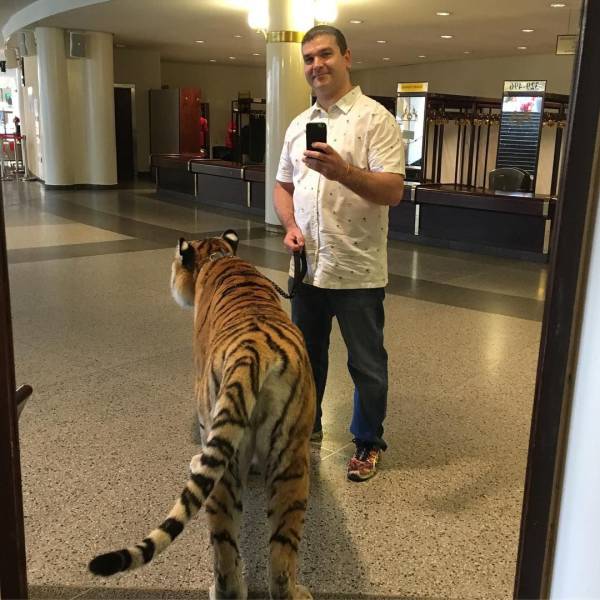 daily picdump 96 pics 45.html - 96 HD Photos | Premium Gallery 2017