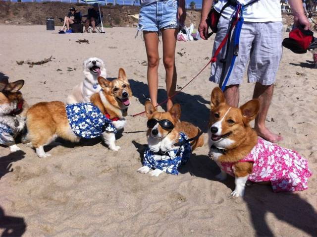 daily picdump 96 pics 45.html - 96 HD Photos | Premium Gallery 2017