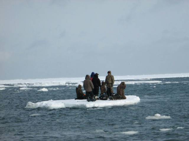 daily picdump 96 pics 45.html - 96 HD Photos | Premium Gallery 2017