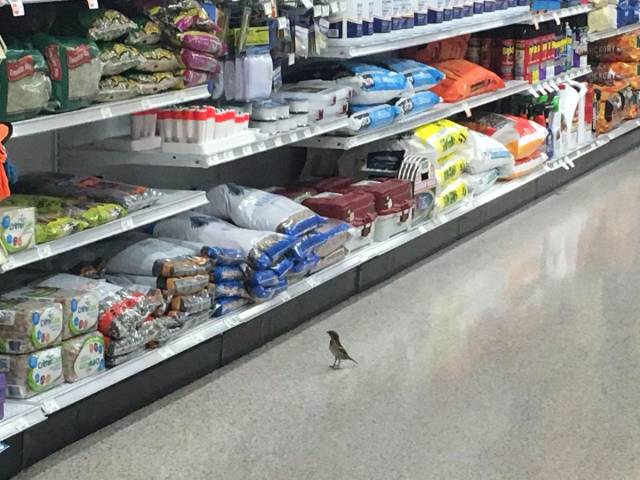 daily picdump 96 pics 45.html - 96 HD Photos | Premium Gallery 2017