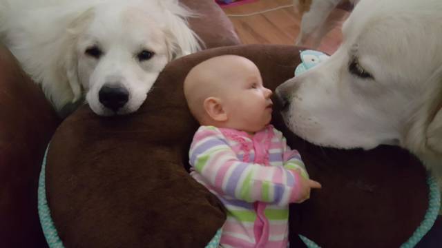 daily picdump 96 pics 45.html - 96 HD Photos | Premium Gallery 2017