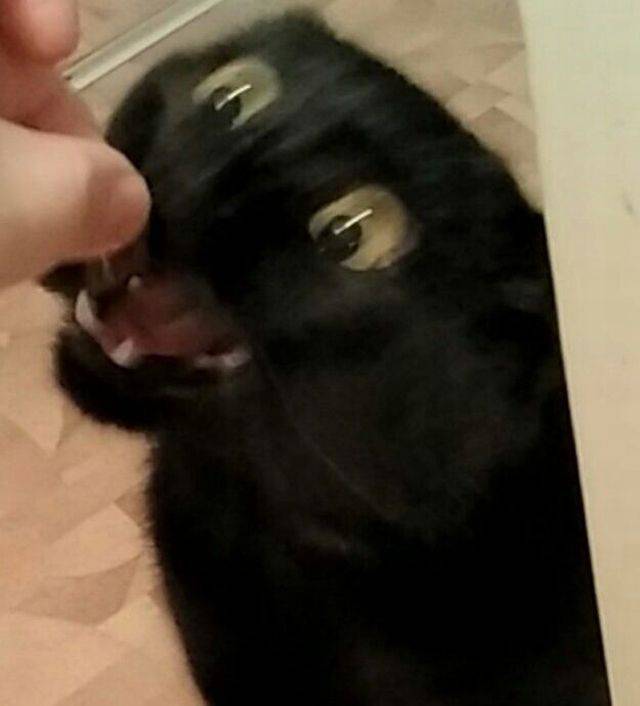 daily picdump 96 pics 45.html - 96 HD Photos | Premium Gallery 2017