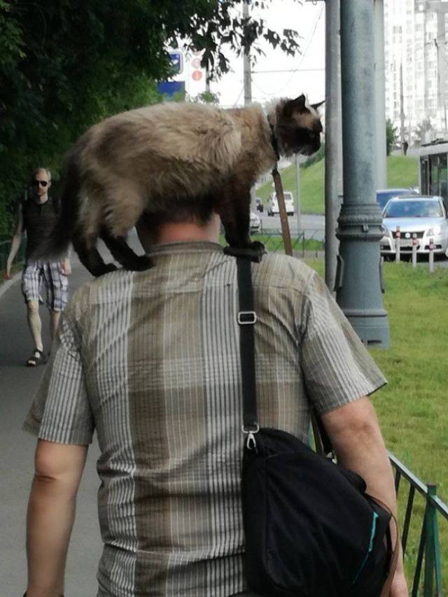 daily picdump 96 pics 45.html - 96 HD Photos | Premium Gallery 2017